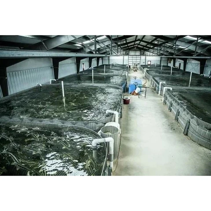Jwèt Fish Farm Building